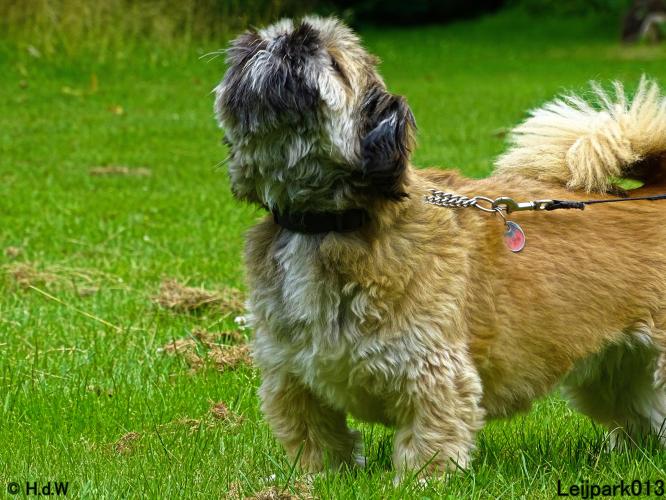 Leijpark013 12 juli 2021 Beestenboel 