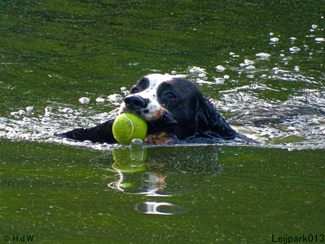 Leijpark013 12 juli 2021 Beestenboel 