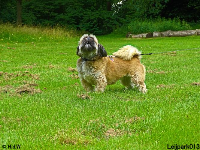 Leijpark013 12 juli 2021 Beestenboel 