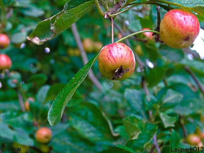 Leijpark013 26 & 27 & 28 September 2021 