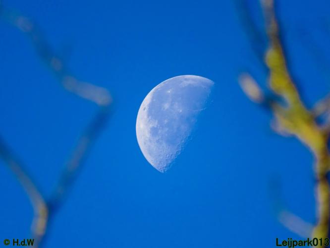 Leijpark013 26 & 27 & 28 September 2021 