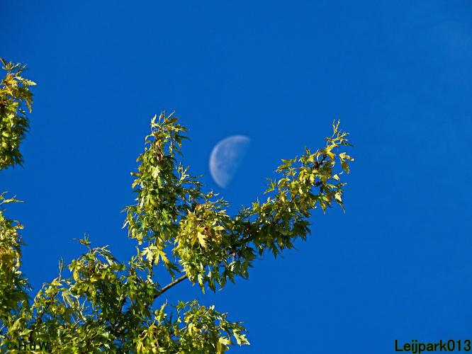 Leijpark013 26 & 27 & 28 September 2021 