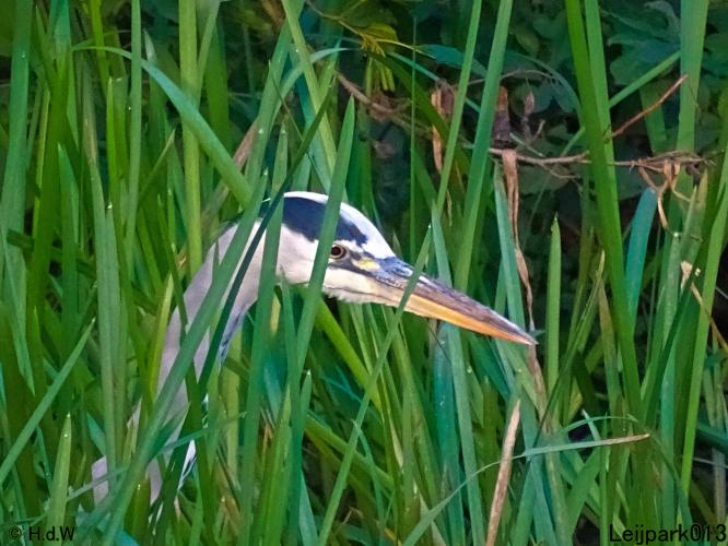 Leijpark013 26 & 27 & 28 September 2021 