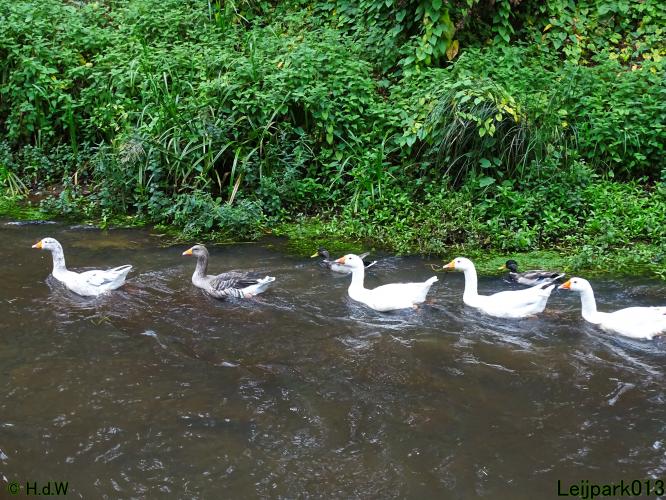 Leijpark013 26 & 27 & 28 September 2021 