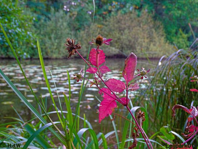 Leijpark013 26 & 27 & 28 September 2021 