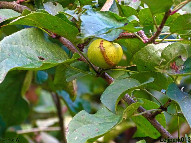 Leijpark013 26 & 27 & 28 September 2021 