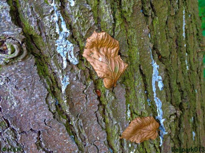 Leijpark013 26 & 27 & 28 September 2021 