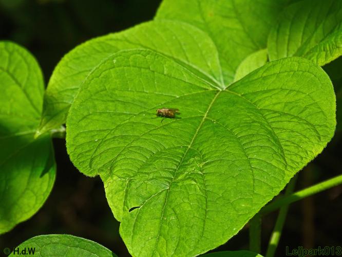 Leijpark013 26 & 27 & 28 September 2021 