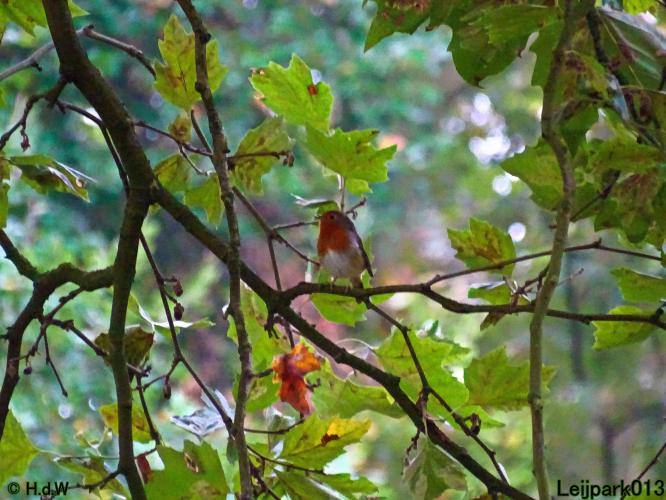 Leijpark013 26 & 27 & 28 September 2021 