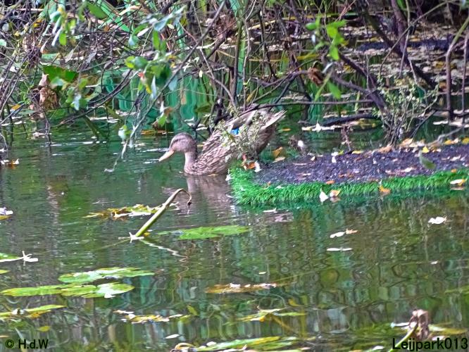 Leijpark013 26 & 27 & 28 September 2021 