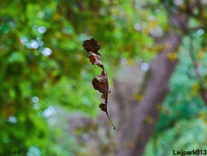 Leijpark013 26 & 27 & 28 September 2021 