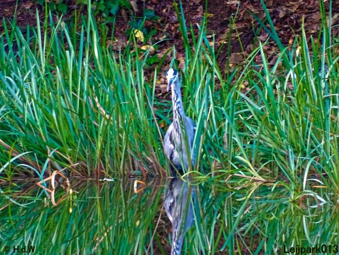 Leijpark013 26 & 27 & 28 September 2021 