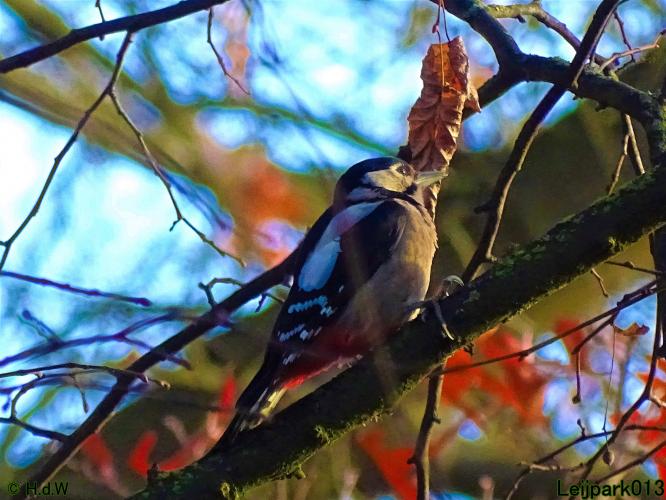 Leijpark013  18&amp; 19 &amp; 20 november 2021 