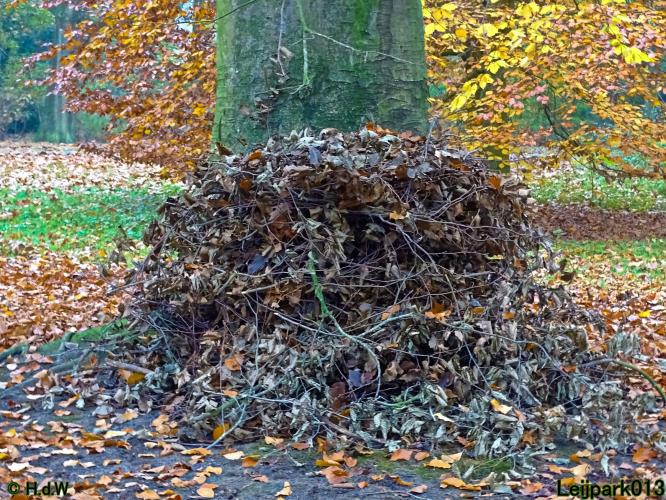 Leijpark013  18&amp; 19 &amp; 20 november 2021 