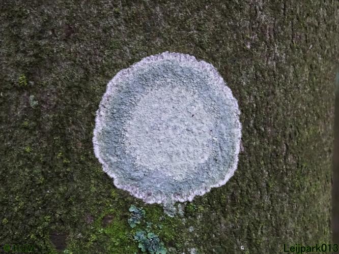 Leijpark013  18&amp; 19 &amp; 20 november 2021 