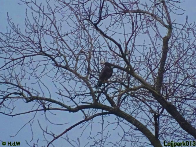 Leijpark013  18&amp; 19 &amp; 20 november 2021 