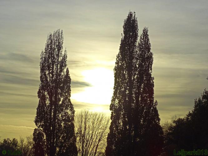 Leijpark013  18&amp; 19 &amp; 20 november 2021 