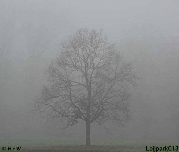 Leijpark013 12 &amp; 13 &amp; 14 januari 2022 wat een verschil de ene met de andere dag 