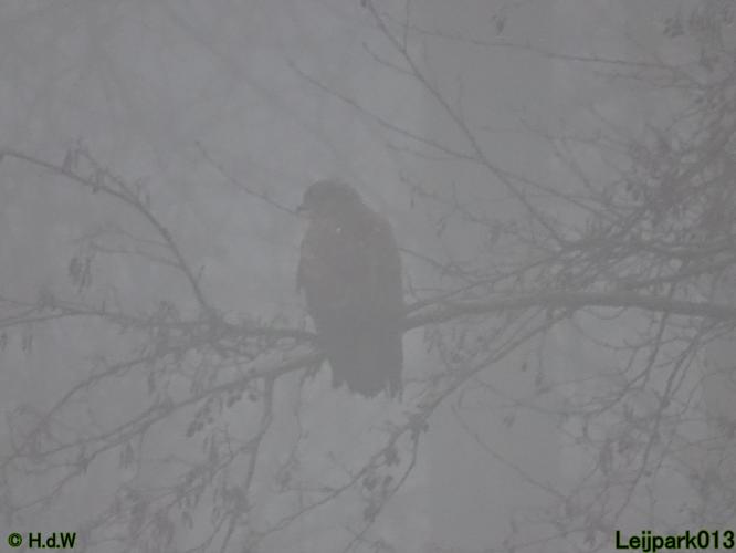 Leijpark013 12 &amp; 13 &amp; 14 januari 2022 wat een verschil de ene met de andere dag 