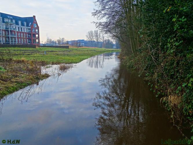 Leijpark013 12 &amp; 13 &amp; 14 januari 2022 wat een verschil de ene met de andere dag 