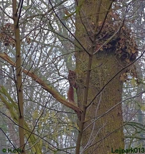 Leijpark013 12 &amp; 13 &amp; 14 januari 2022 wat een verschil de ene met de andere dag 