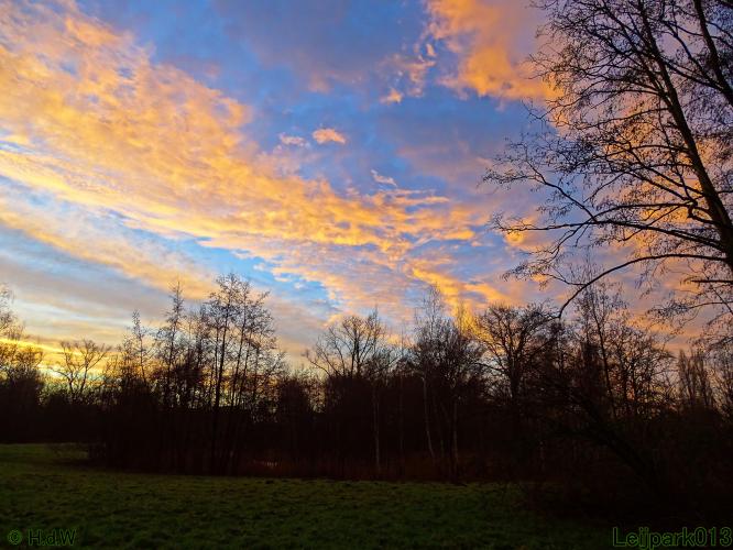 Leijpark013 12 &amp; 13 &amp; 14 januari 2022 wat een verschil de ene met de andere dag 