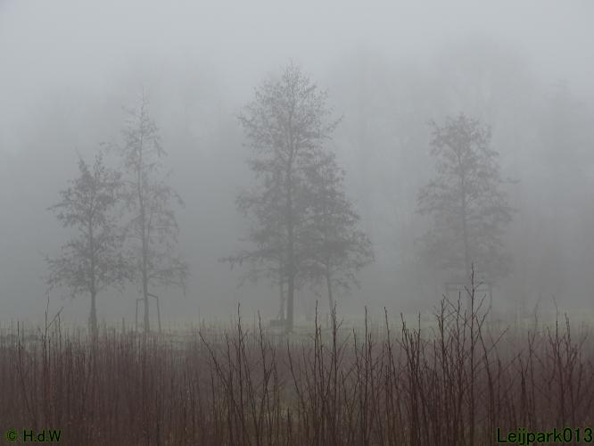 Leijpark013 12 &amp; 13 &amp; 14 januari 2022 wat een verschil de ene met de andere dag 