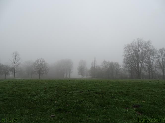 Leijpark013 12 &amp; 13 &amp; 14 januari 2022 wat een verschil de ene met de andere dag 