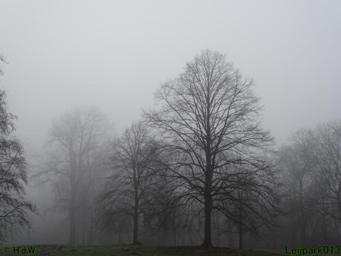 Leijpark013 12 &amp; 13 &amp; 14 januari 2022 wat een verschil de ene met de andere dag 