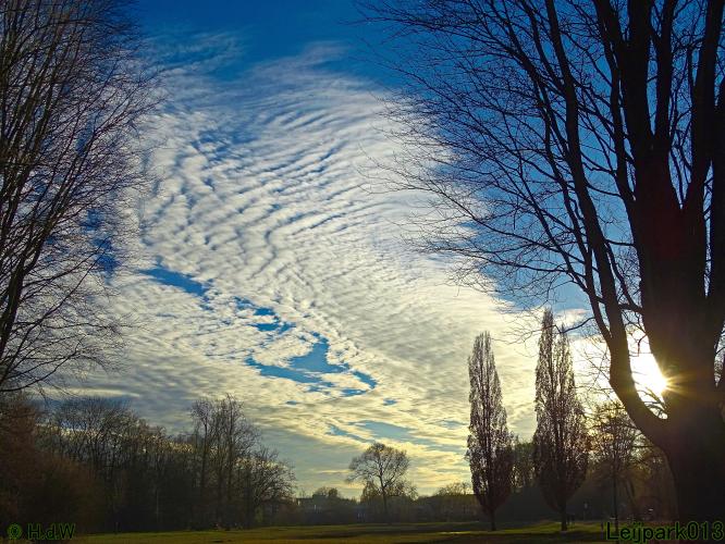 Leijpark013 12 &amp; 13 &amp; 14 januari 2022 wat een verschil de ene met de andere dag 