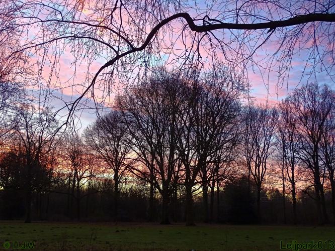 Leijpark013 12 &amp; 13 &amp; 14 januari 2022 wat een verschil de ene met de andere dag 