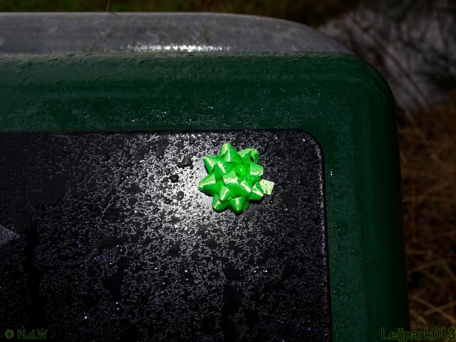 Leijpark013 31 January & 1 & 2 & 3 February 2022