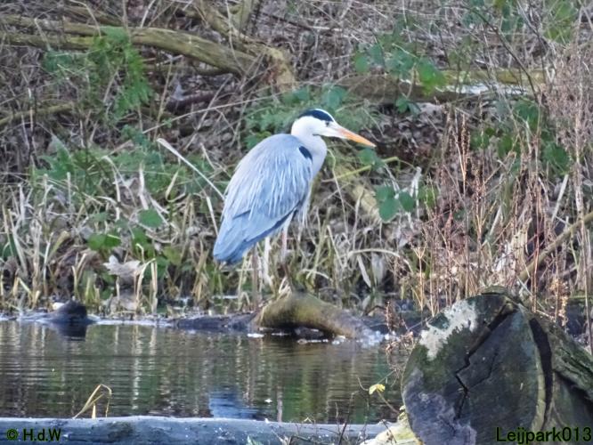 Leijpark013 31 January & 1 & 2 & 3 February 2022