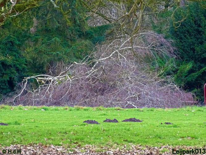 Leijpark013 31 January & 1 & 2 & 3 February 2022