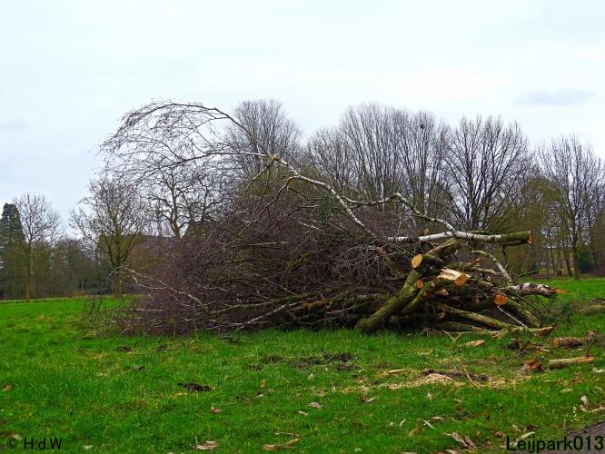 Leijpark013 31 January & 1 & 2 & 3 February 2022