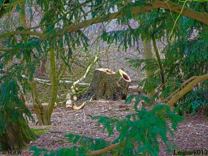 Leijpark013 31 January & 1 & 2 & 3 February 2022