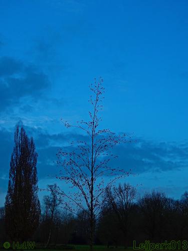 Leijpark013 31 January & 1 & 2 & 3 February 2022