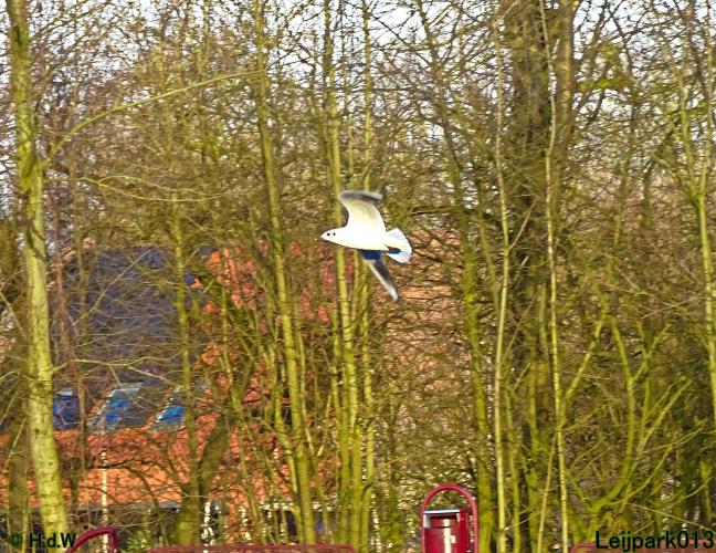 Leijpark013 4 &amp; 5 &amp; 6 &amp; 7 februari 2022