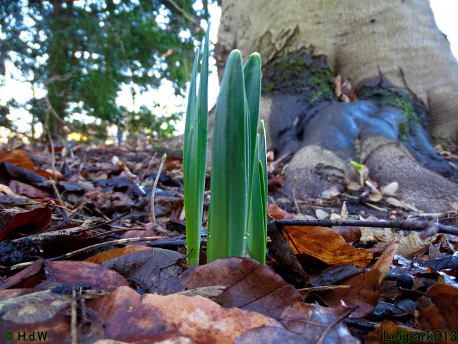 Leijpark013 4 &amp; 5 &amp; 6 &amp; 7 februari 2022