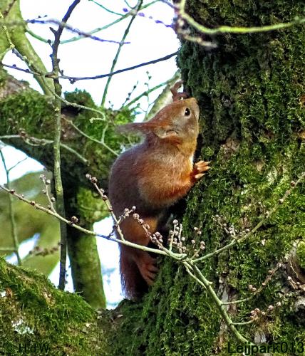 Leijpark013 22 & 23 & 24 February 2022