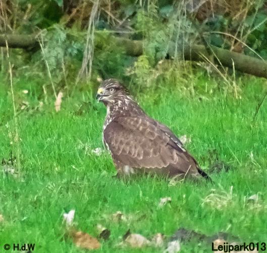 Leijpark013 22 & 23 & 24 February 2022