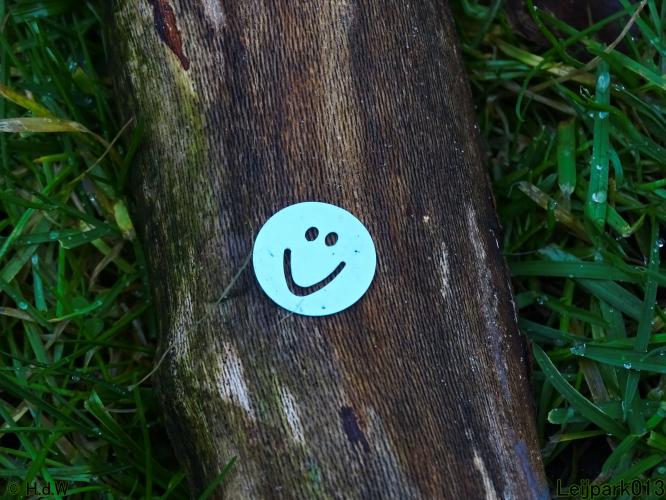 Leijpark013 22 & 23 & 24 February 2022