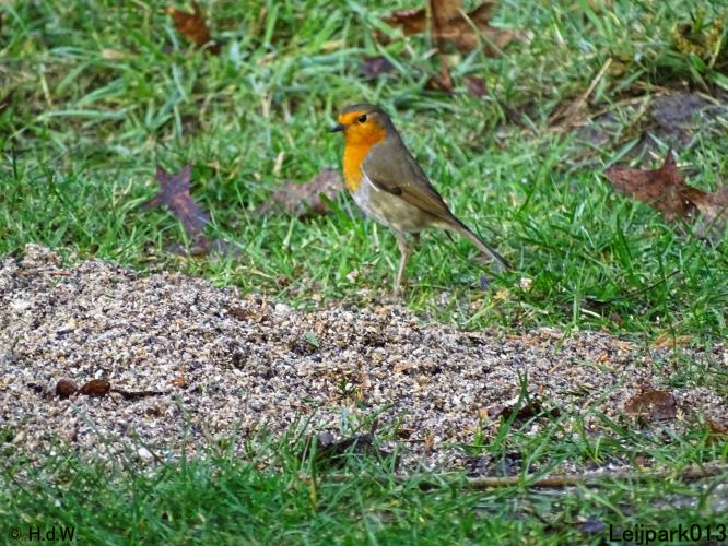 Leijpark013 22 & 23 & 24 February 2022