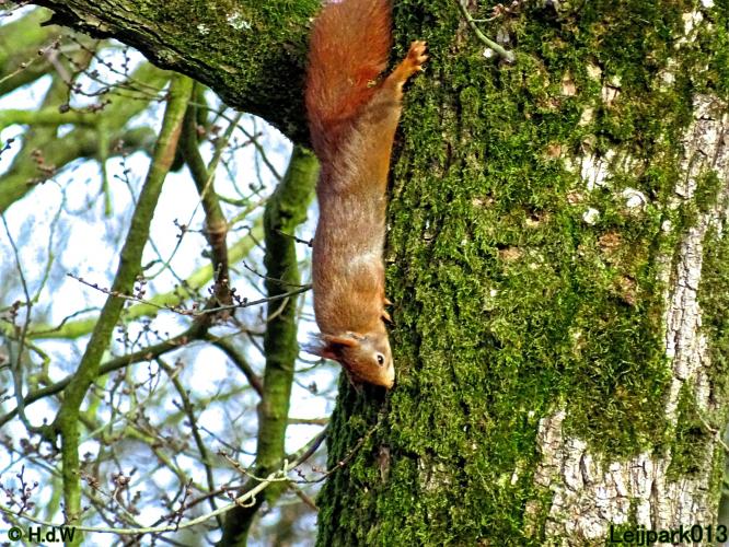 Leijpark013 22 & 23 & 24 February 2022