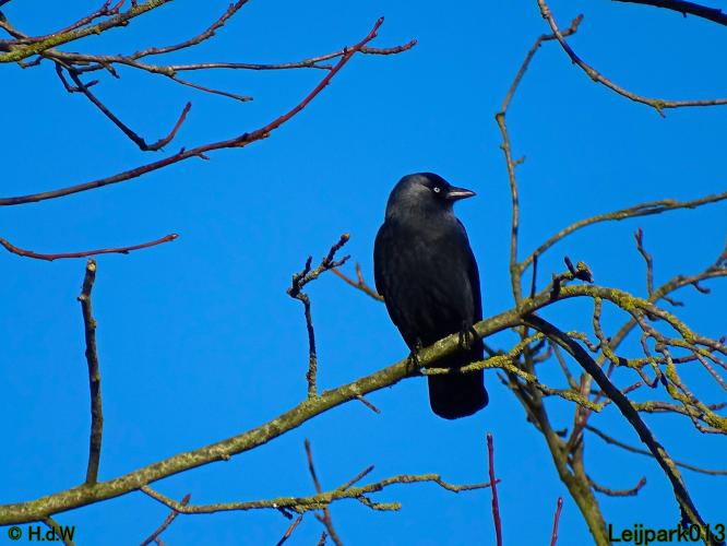 Leijpark013 22 & 23 & 24 February 2022