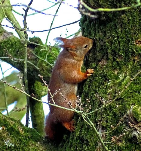 Leijpark013 22 & 23 & 24 February 2022