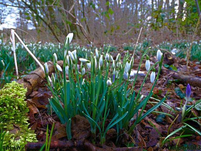 Leijpark013 22 & 23 & 24 February 2022