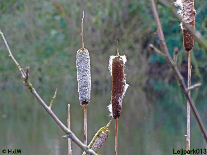 Leijpark013 22 & 23 & 24 February 2022
