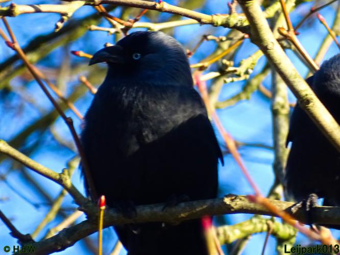 Leijpark013 22 & 23 & 24 February 2022