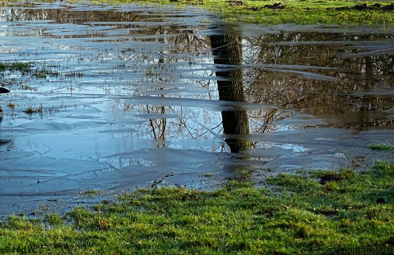 Leijpark013 22 & 23 & 24 February 2022